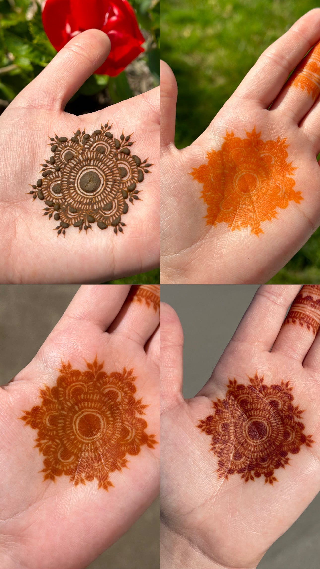 Eucalyptus: Medium Henna Cone 20g-25g